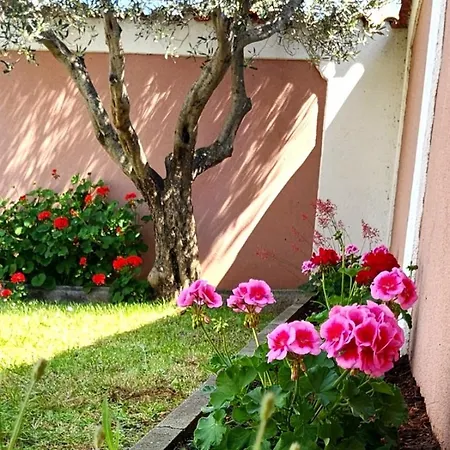 Villa Hesperide *